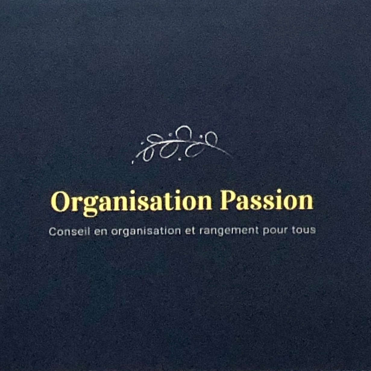 logo-ORGANISATION PASSION